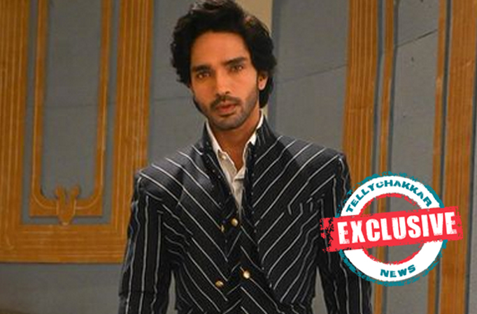 Exclusive! Did Harsh Rajput and Aneri Vajani confirm their relationship? Find out out!