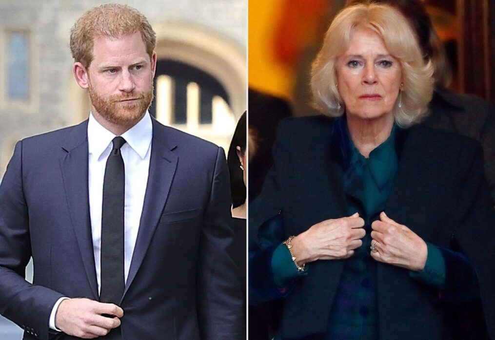Prince Harry Explains Why He Described Queen Camilla as ‘Dangerous’ in Book: ‘Image to Rehabilitate’