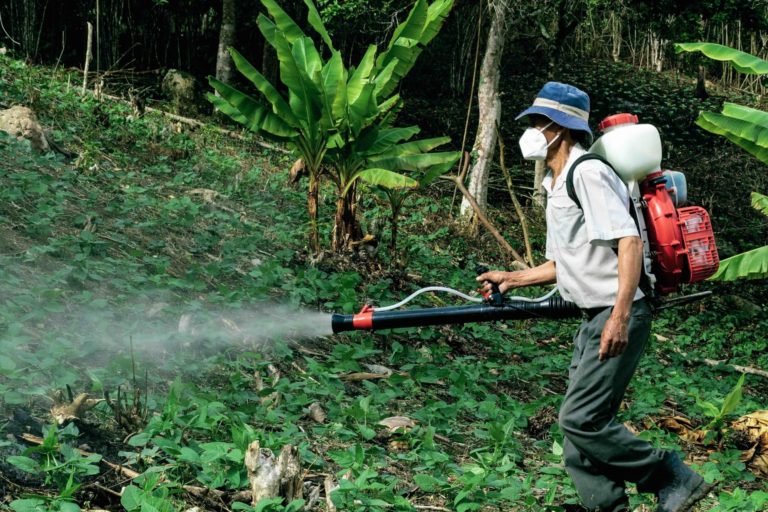 Poisoned by pesticides: Health crisis deepens in Brazil’s Indigenous communities